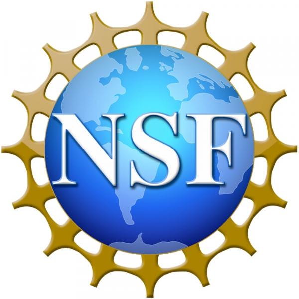 Math Department's Professor Yanli Song is Awarded NSF Grant